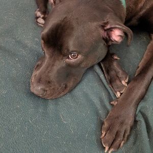 Meet your Posher, Eliza